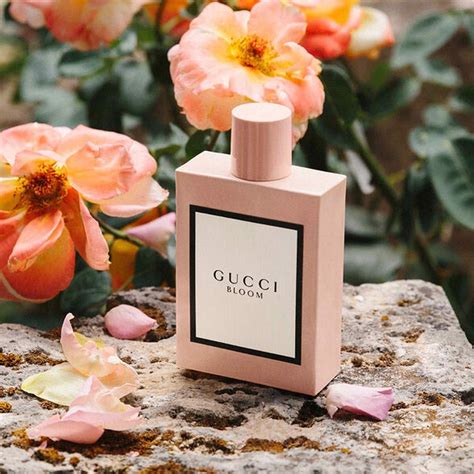 gucci bloom hồng|gucci bloom women pics.